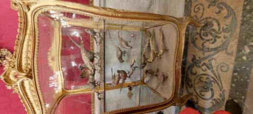 Giornate FAI per le scuole (25-26/11/2021)