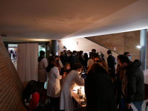 Chimica e Ecosostenibilità a Futuro Remoto 2021 (28/11/2021)