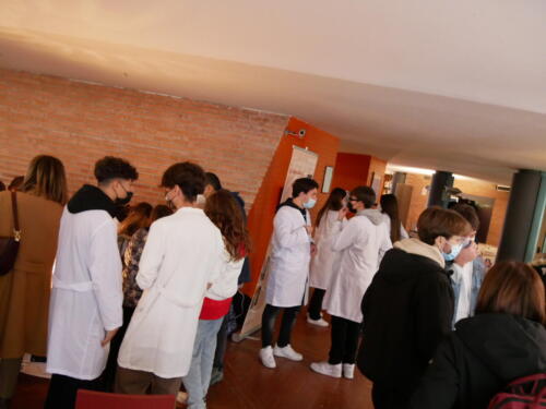 Chimica e Ecosostenibilità a Futuro Remoto 2021 (28/11/2021)