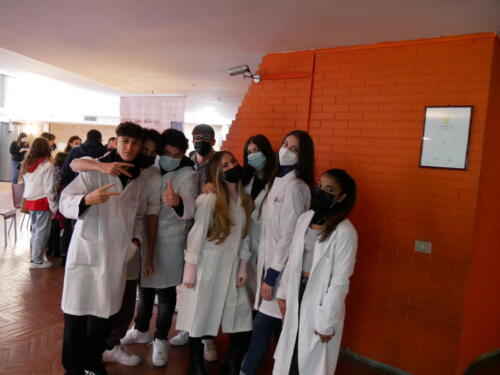 Chimica e Ecosostenibilità a Futuro Remoto 2021 (28/11/2021)