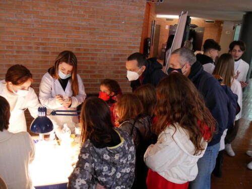 Chimica e Ecosostenibilità a Futuro Remoto 2021 (28/11/2021)