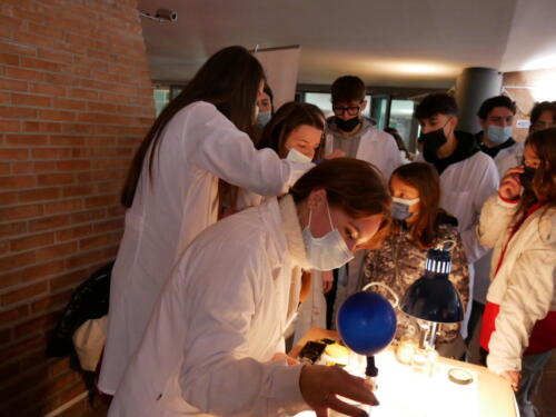 Chimica e Ecosostenibilità a Futuro Remoto 2021 (28/11/2021)