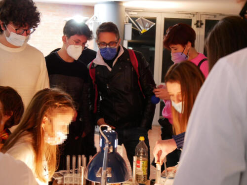 Chimica e Ecosostenibilità a Futuro Remoto 2021 (28/11/2021)