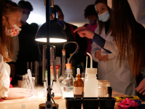 Chimica e Ecosostenibilità a Futuro Remoto 2021 (28/11/2021)