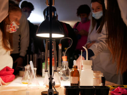 Chimica e Ecosostenibilità a Futuro Remoto 2021 (28/11/2021)