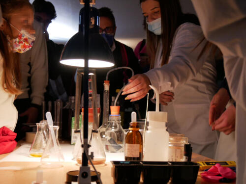 Chimica e Ecosostenibilità a Futuro Remoto 2021 (28/11/2021)