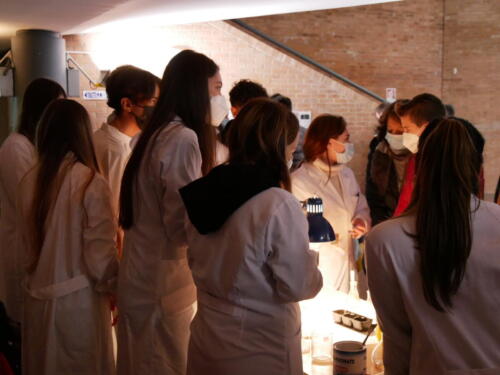 Chimica e Ecosostenibilità a Futuro Remoto 2021 (28/11/2021)