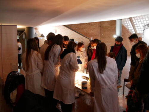 Chimica e Ecosostenibilità a Futuro Remoto 2021 (28/11/2021)