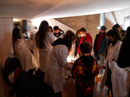 Chimica e Ecosostenibilità a Futuro Remoto 2021 (28/11/2021)