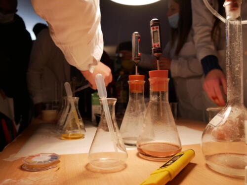 Chimica e Ecosostenibilità a Futuro Remoto 2021 (28/11/2021)