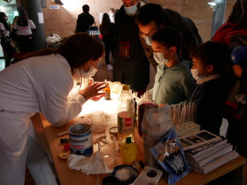 Chimica e Ecosostenibilità a Futuro Remoto 2021 (28/11/2021)