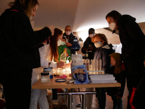 Chimica e Ecosostenibilità a Futuro Remoto 2021 (28/11/2021)