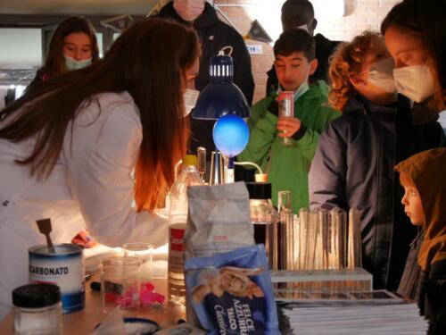 Chimica e Ecosostenibilità a Futuro Remoto 2021 (28/11/2021)