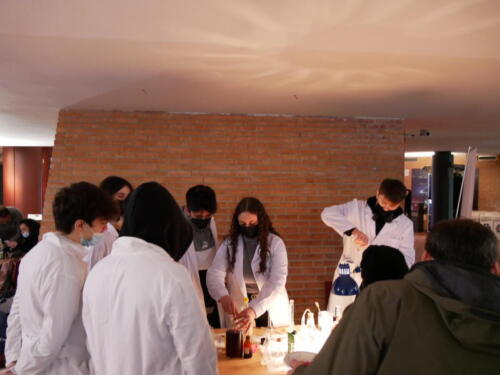 Chimica e Ecosostenibilità a Futuro Remoto 2021 (28/11/2021)