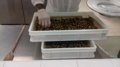 Chains – XI edizione di “Oltre la globalizzazione” (10/12/2021)