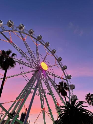 Barcellona (Dicembre 2021)