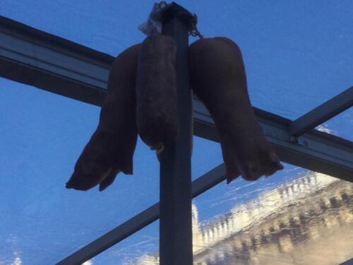 10ª Festa dello zampone e del cotechino MODENA IGP (11/12/2021)