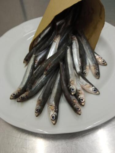 10ª Festa dello zampone e del cotechino MODENA IGP (11/12/2021)