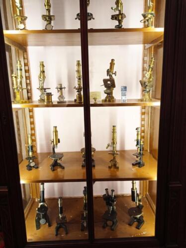 Visita didattica al Museo Anatomico (21/12/2021)