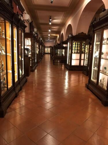 Visita didattica al Museo Anatomico (21/12/2021)