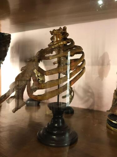 Visita didattica al Museo Anatomico (21/12/2021)