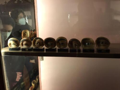 Visita didattica al Museo Anatomico (21/12/2021)