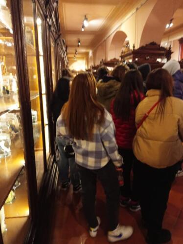 Visita didattica al Museo Anatomico (21/12/2021)