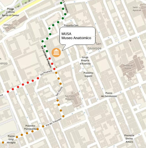 Visita didattica al Museo Anatomico (21/12/2021)