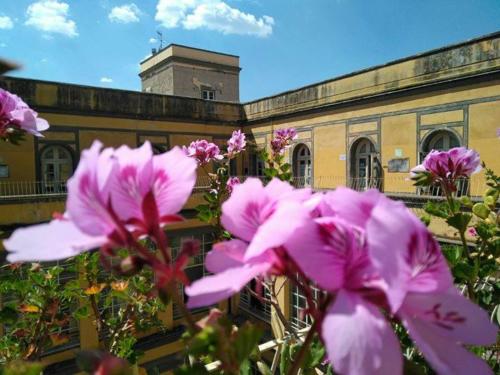 "Palazzo Carafa d'Andria"